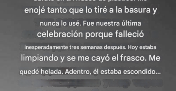 Translated image es