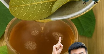 553443385 122128341788943773 2903100417310795487 n