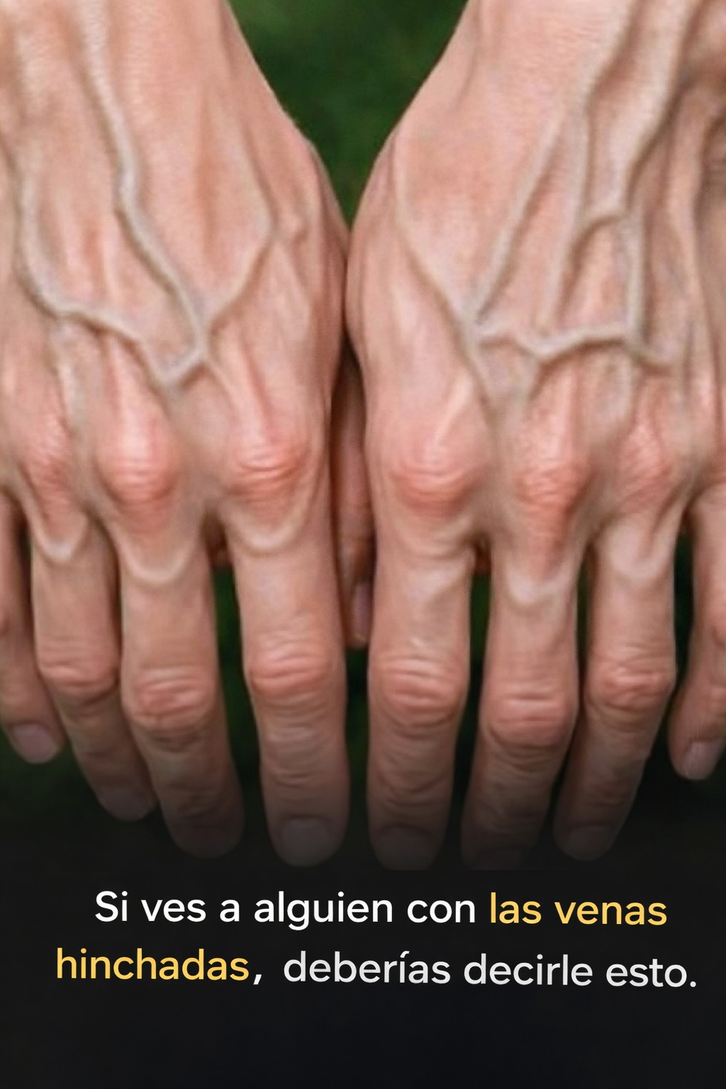 701788645 122168259074943773 1302370843076914163 n