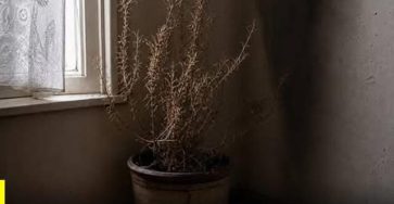 WhatsApp Image 2026 05 10 at 01.44.30